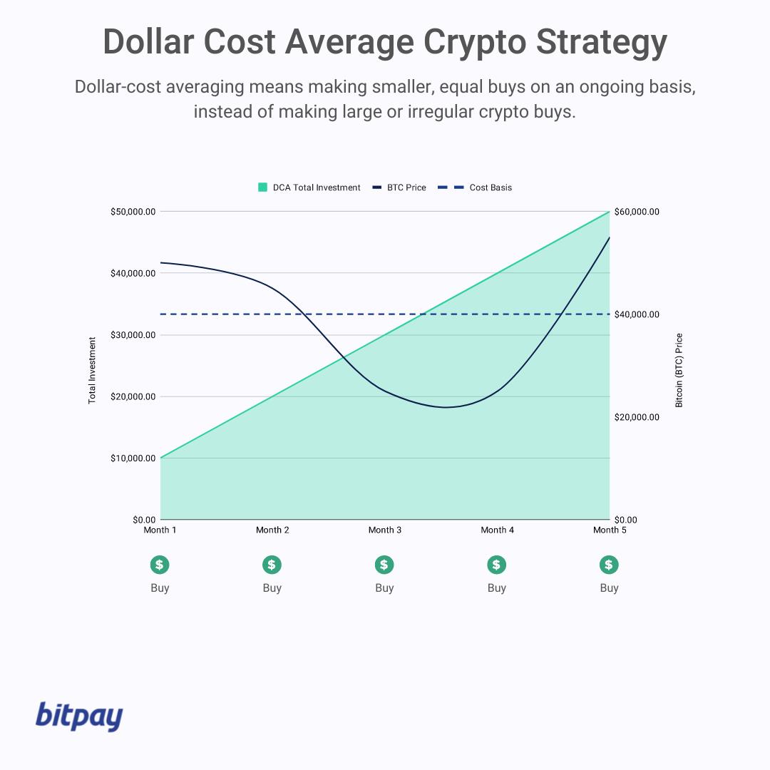 Classic Bear Market Strategies to Consider in this Crypto Market