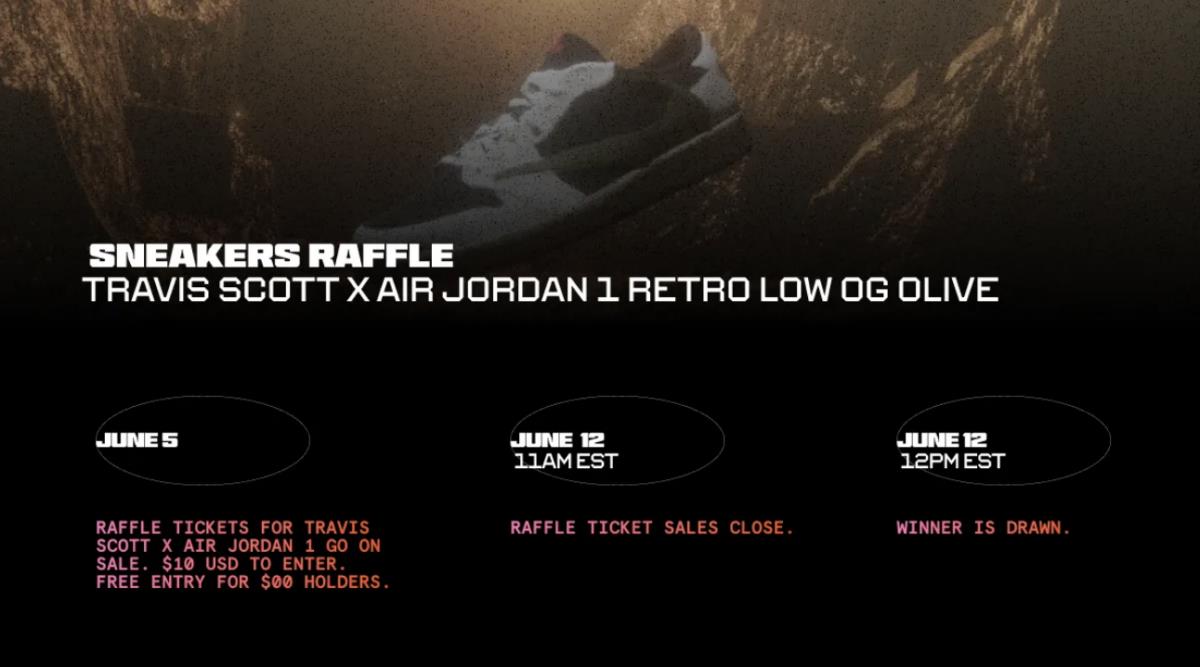 Sneaker Raffle details