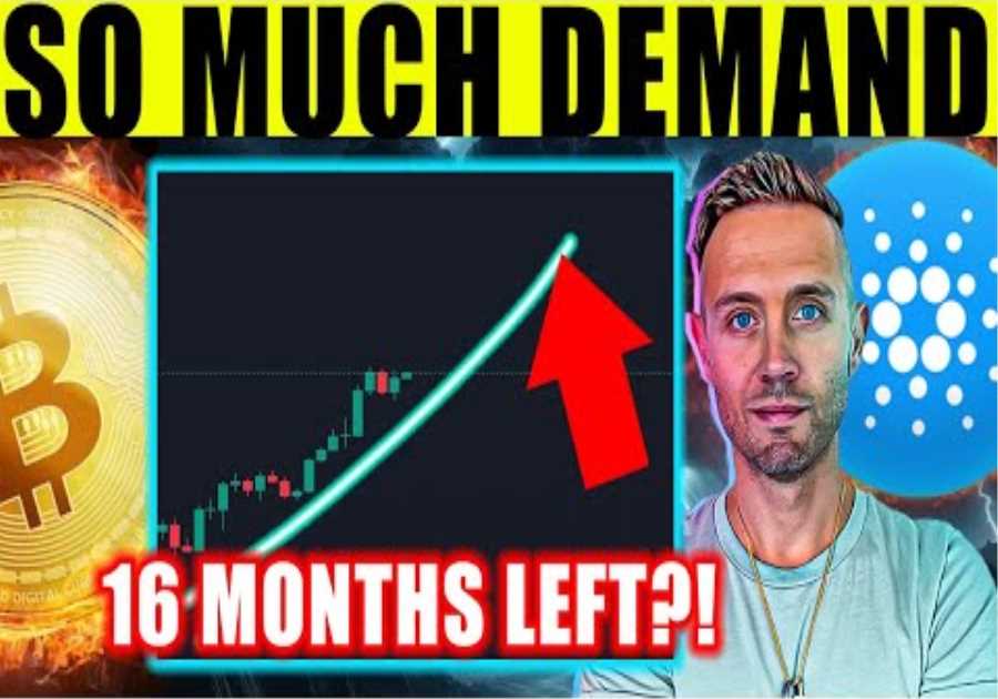 BITCOIN Predicts CRAZY Bull Cycle! CARDANO MOMENTUM Power Shift!