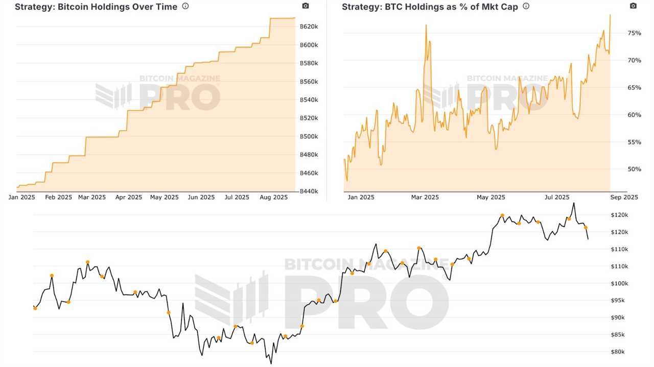 Are Bitcoin Treasury Companies Still a Smart Investment in 2025?