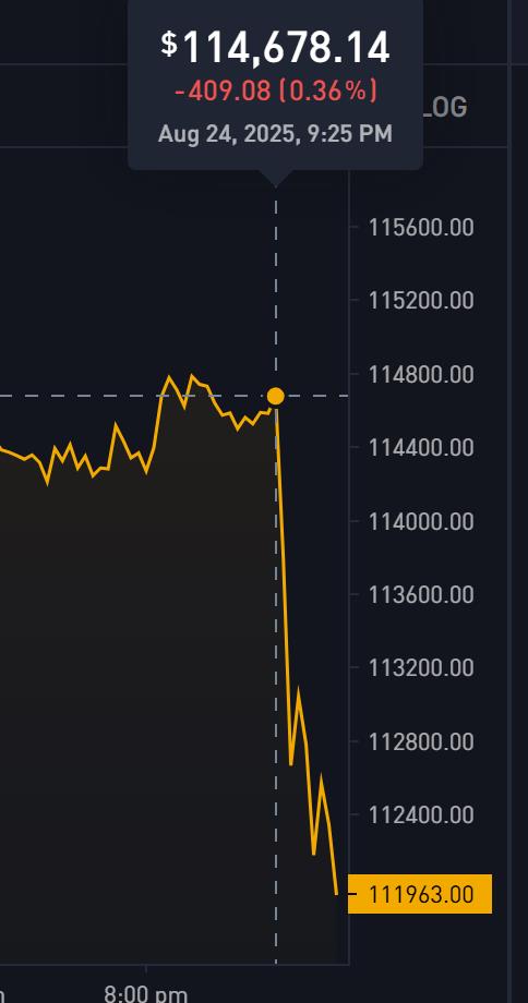 Bitcoin Price Drops Again — And Nope, It’s Still Not Because of the Fed 1 bitcoin price flash-crash Sunday Aug 24