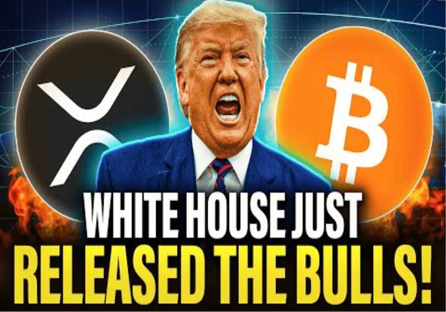 VIOLENT RECOVERY: The White House Just RELEASED The Crypto &amp; XRP BULLS!