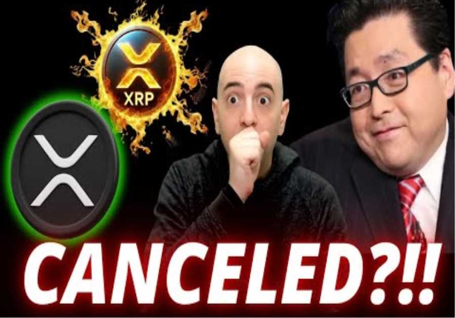 People Have No Idea What's About To Hit The Market - Tom Lee Xrp | Trump Dropped A Bombshell!!