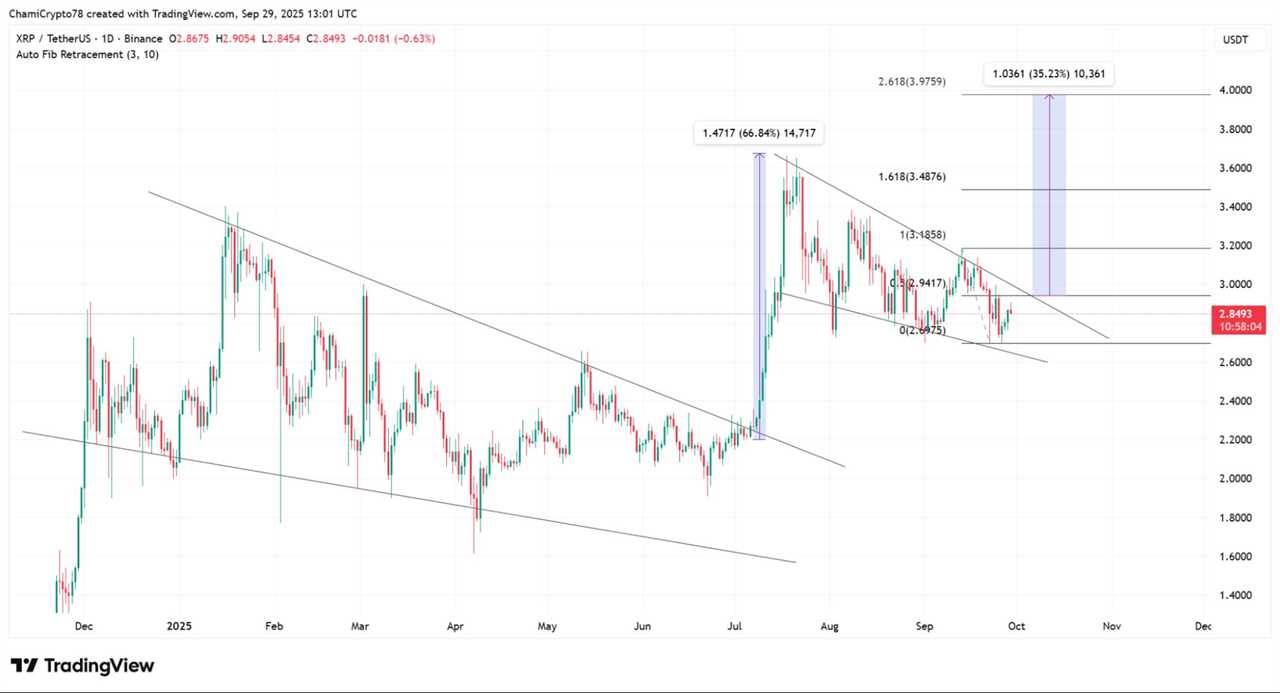 Navigating Potential Market Scenarios