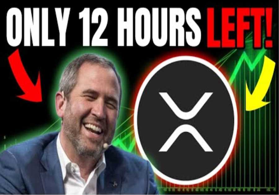 Do You Own XRP? If So, We Only Have 12 Hours Left!