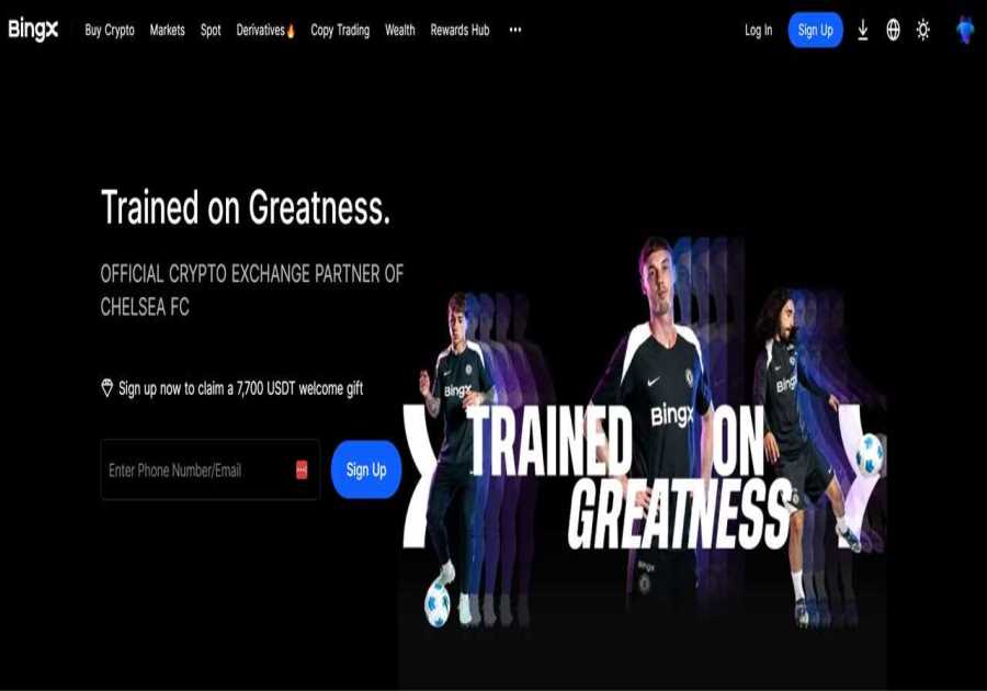 BingX vs Binance: Which Exchange is Right for You?