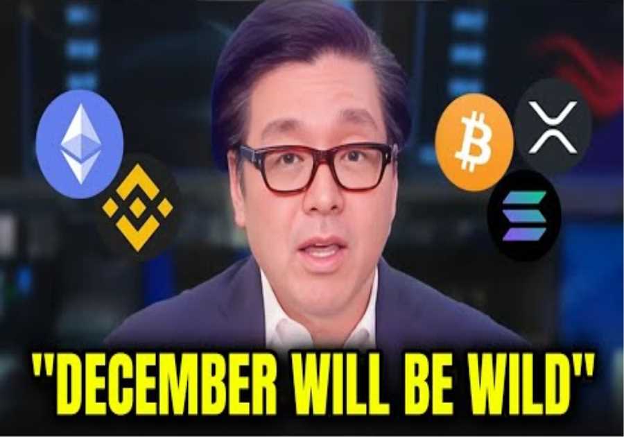 Tom Lee - People Don't Realize How WILD December Will Be for Crypto! MILLIONAIRES Will Be Made