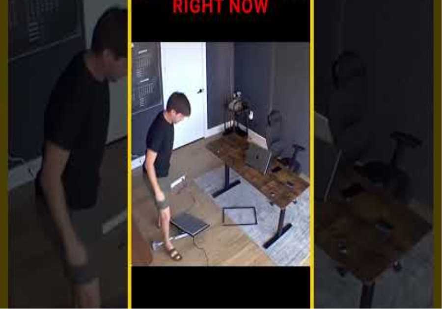 Crypto Investors Right Now