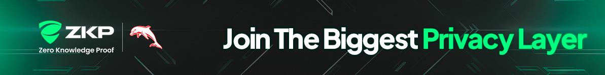 Zero Knowledge Proof