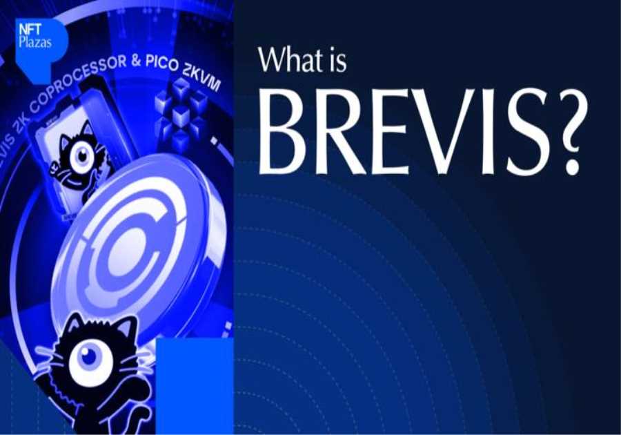 What Is Brevis Network? ZK Engine Powering Data-Driven Apps