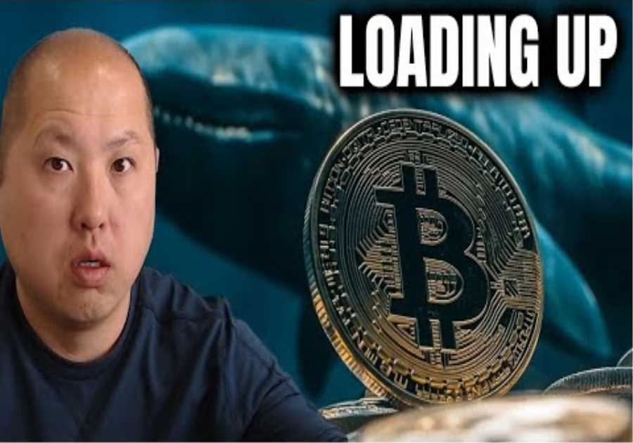 Bitcoin Whales Are Loading Up Right NOW