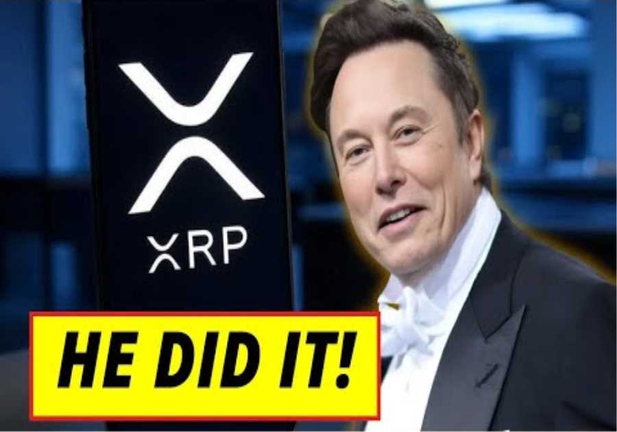 Breaking XRP News 🚨 Elon Musk Makes Surprising Move 🚨 What It Could Mean for XRP