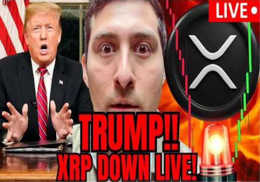XRP WATCH! TRUMP SPEAKS LIVE NOW. Crypto News