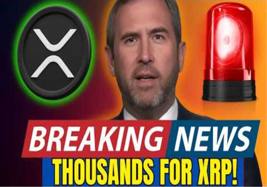 XRP JUST IN! CRYPTO EXPERT REVEALS WHAT IS ACTUALLY GOING ON! RIPPLE CEO SAYS IT'S THOUSNADS!