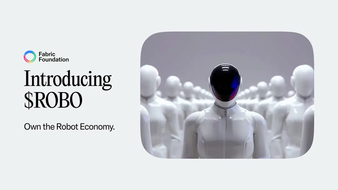 Token Details (ROBO)