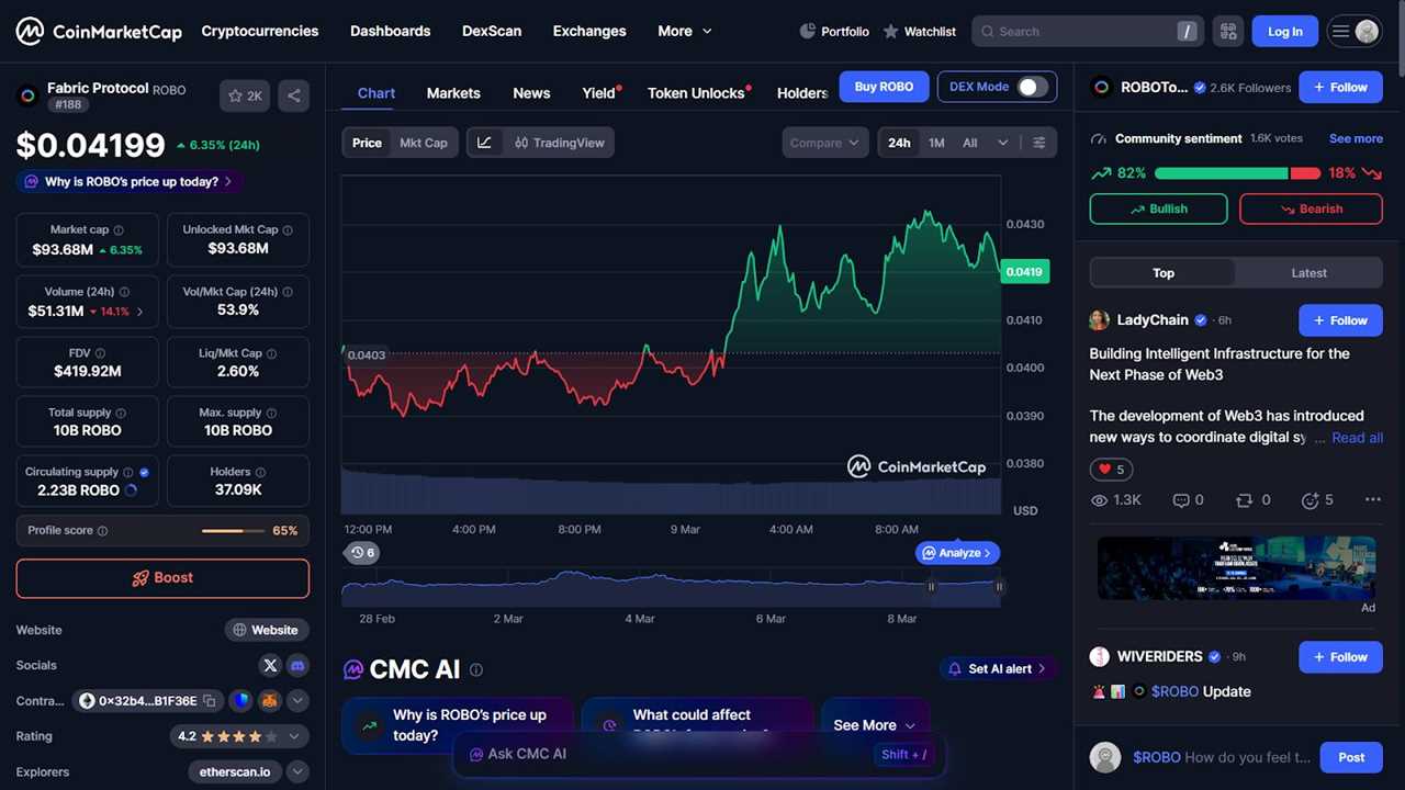 What Is the ROBO Token?