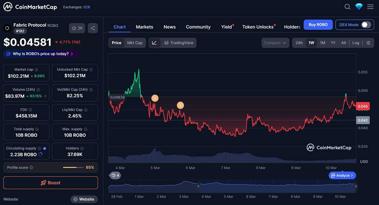 What Is the ROBO Token?
