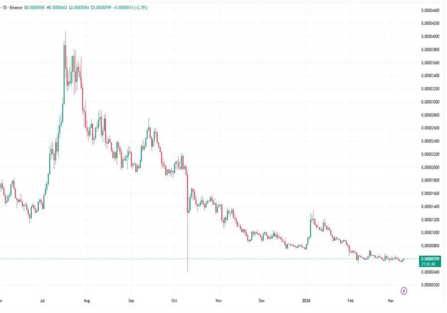 BONK Price Prediction 2026–2030: Down 90% — Is This the Bottom?