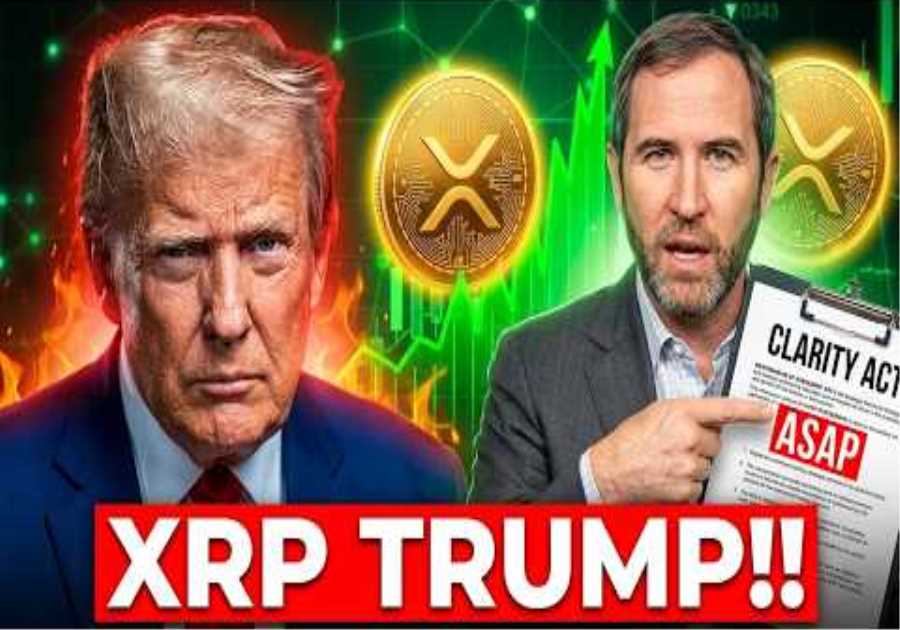 XRP NEWS TODAY: XRP TRUMP IS PISSED!! (CLARITY ACT ASAP) 🚨🚨
