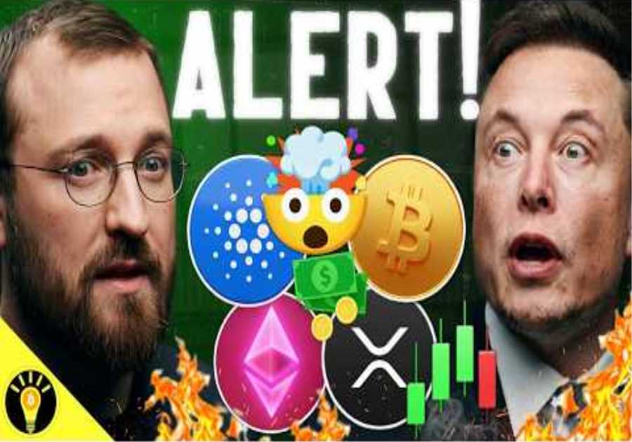 HUGE! CRYPTO IN 401KS MAKES PROGRESS! CARDANO MIDNIGHT LIVE & ELON MUSK BITCOIN!