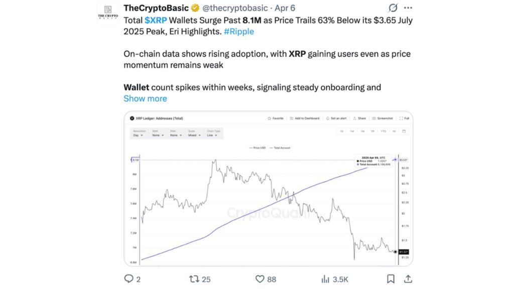 On-chain data shows rising adoption, with XRP gaining users even as price momentum remains weak