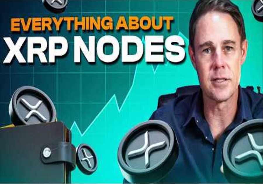 XRP Activity Is Rising | What It Means for the Network