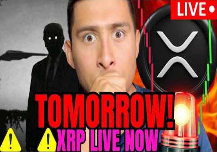 XRP NOW! TRUMP DROPPING a BOMBSHELL SOON! CRYPTO NEWS