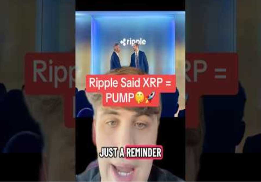 Ripple Said XRP is About to PUMP🚨