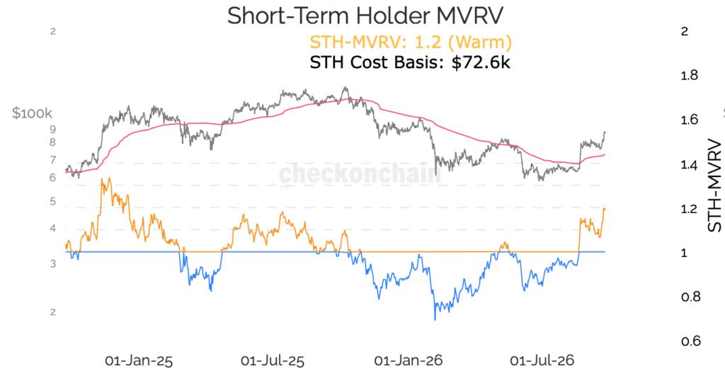Bitcoin Hits The Line Between a Bull Market and a Bear Recovery