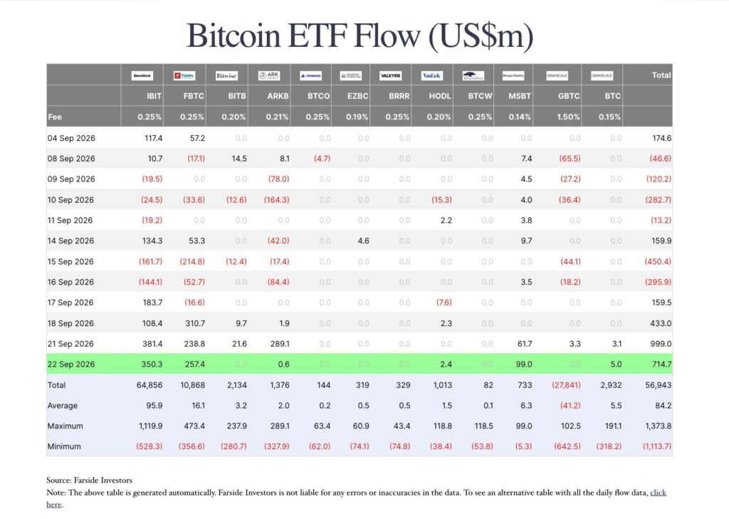 Bitcoin Hits The Line Between a Bull Market and a Bear Recovery