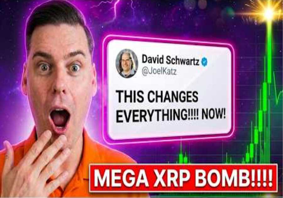 DAVID SCWHARTZ JUST DROPPED A HUUUUGE XRP BOMB! (NEW XRP PARTNERSHIP)