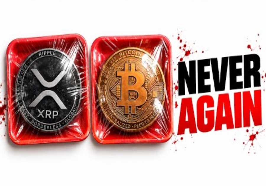 I’ll Probably Never Buy Another Crypto After This…