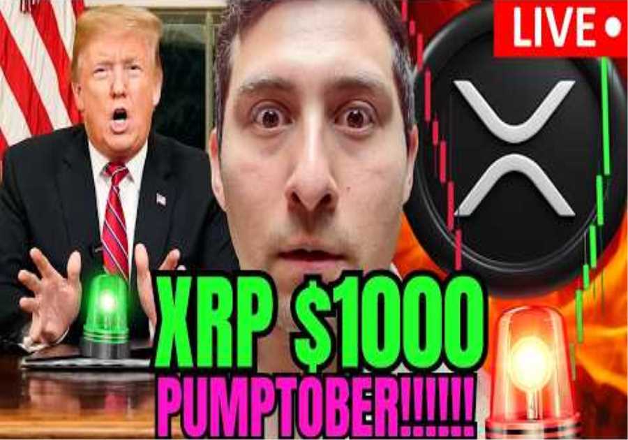 XRP is going much HIGHER. XRP WATCH! BIG NEWS